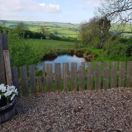 Eco Accommodation Cornflower Holiday Craven Arms Zewnętrze zdjęcie