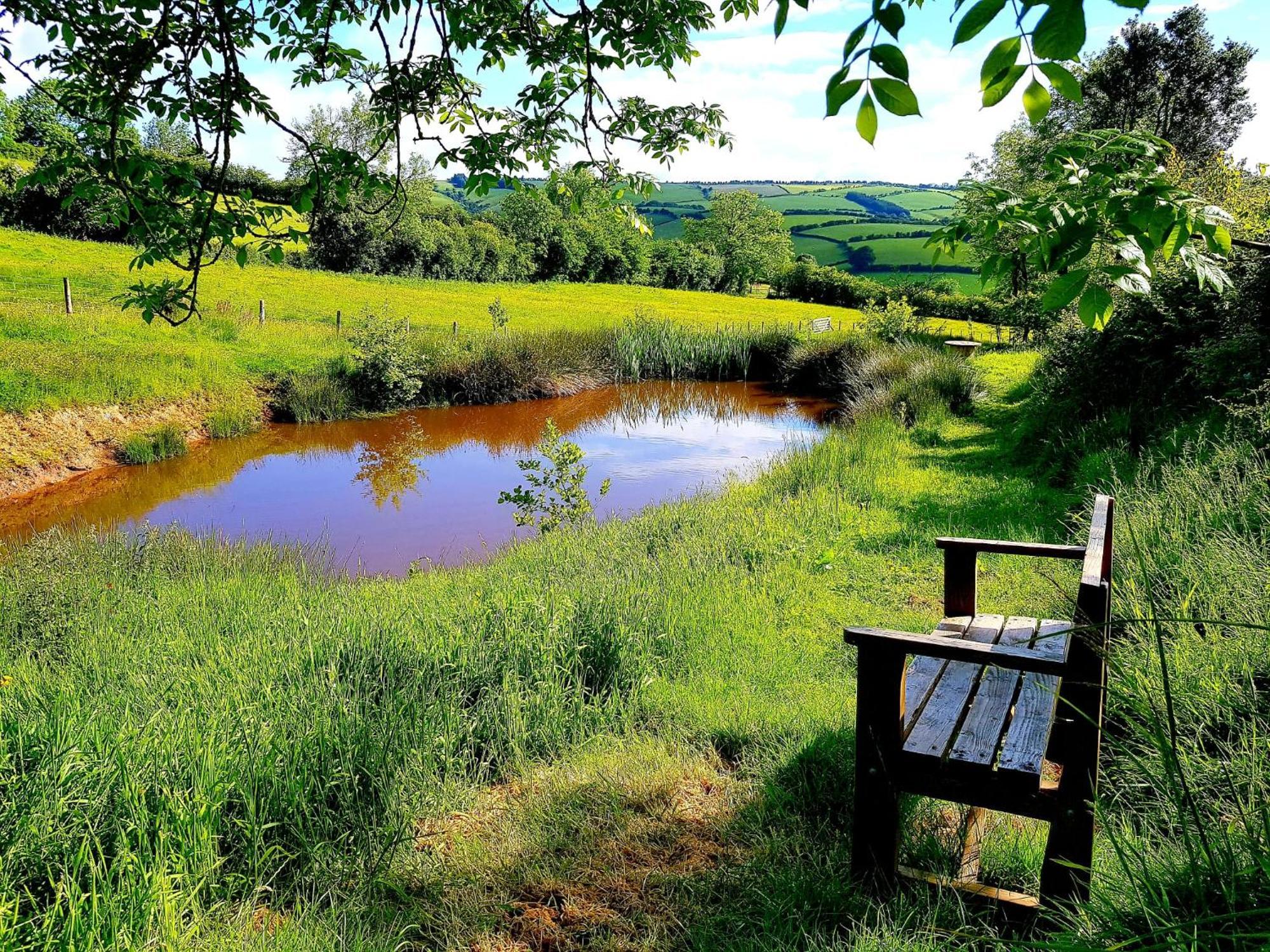 Eco Accommodation Cornflower Holiday Craven Arms Zewnętrze zdjęcie